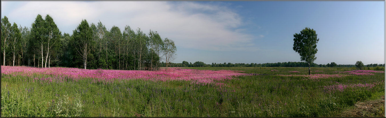 photo "Pink fields..." tags: panoramic, 