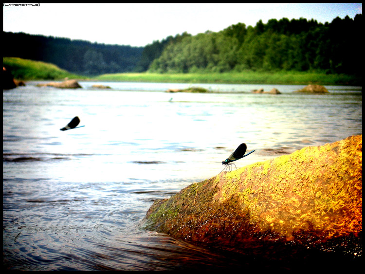 photo "***" tags: landscape, summer, water
