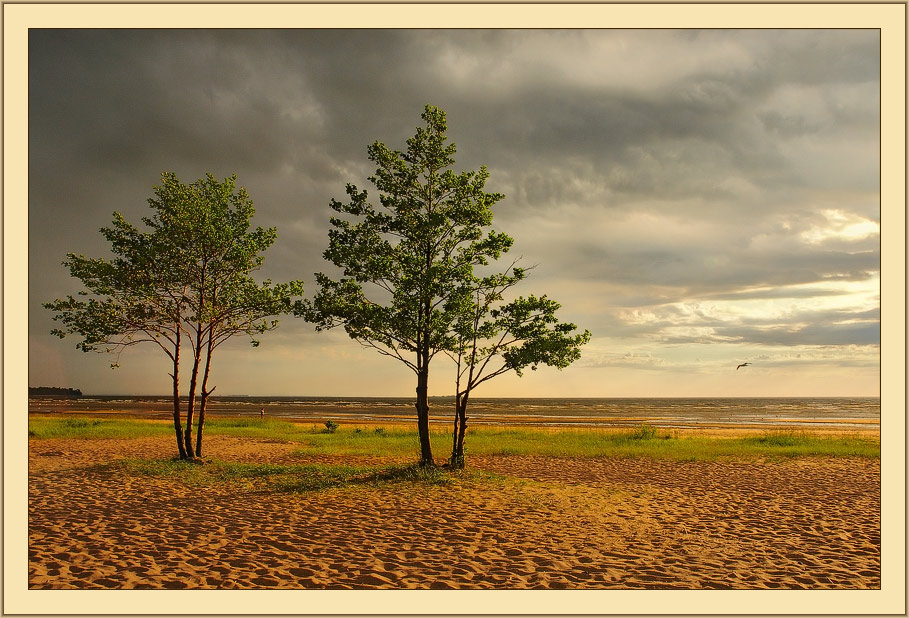 фото "Закат на Финском заливе после грозы 2" метки: пейзаж, закат