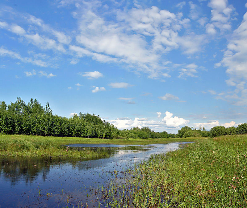 photo "***" tags: landscape, summer