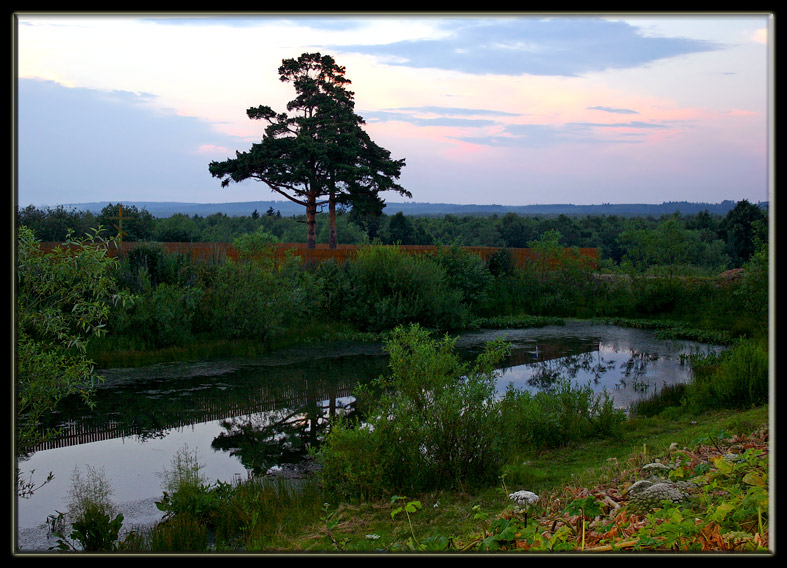 photo "Evening" tags: landscape, 