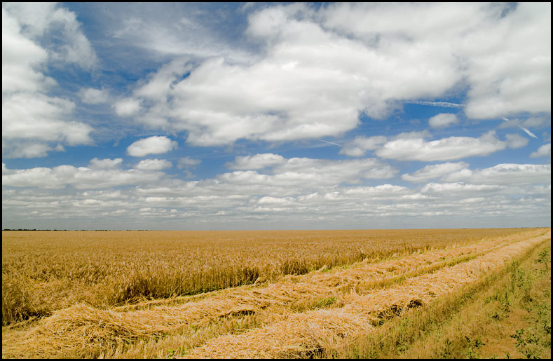 photo "***" tags: landscape, summer