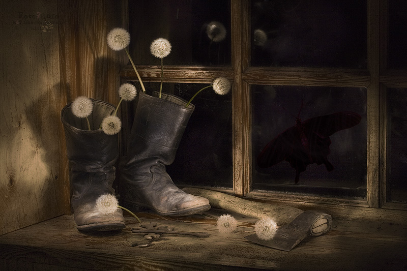 photo "***" tags: still life, 