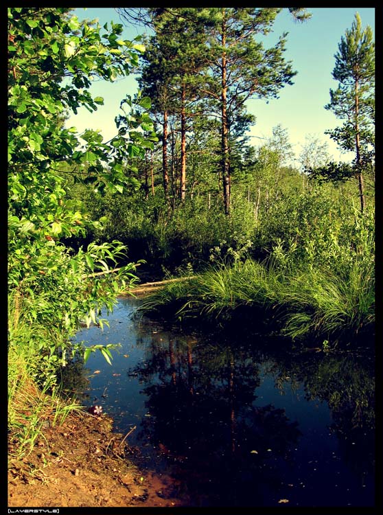 photo "***" tags: landscape, forest, water