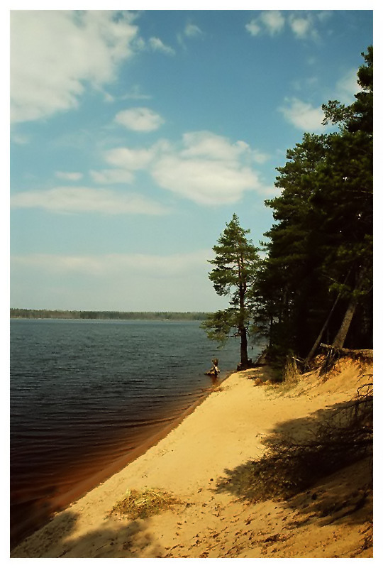 photo "Lake Seliger, coast of cape." tags: landscape, water