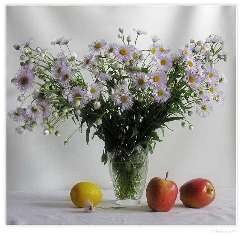 photo "**" tags: still life, 