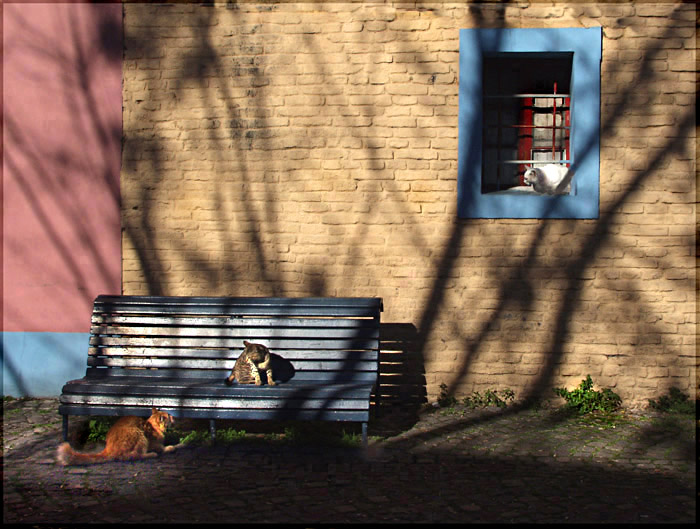 фото "three ones.. and some shadows." метки: архитектура, природа, пейзаж, домашние животные