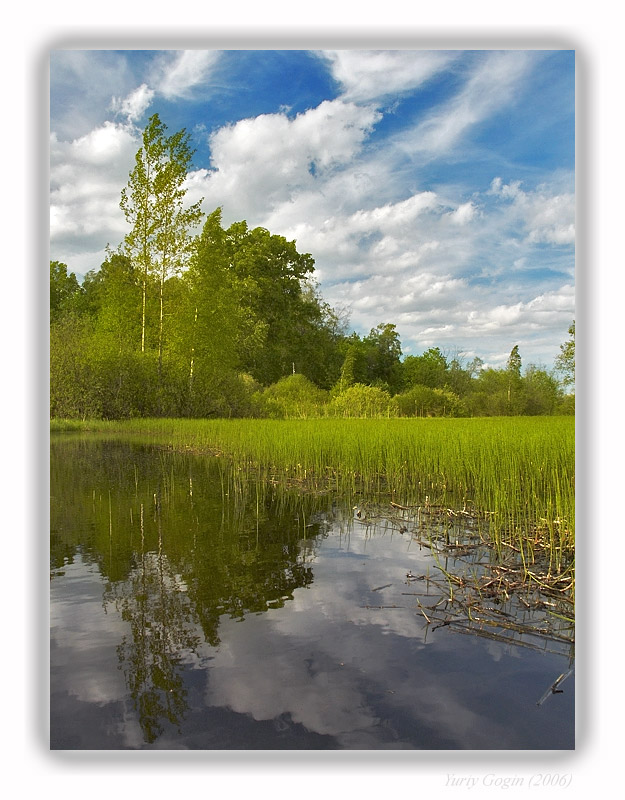 photo "In half" tags: landscape, summer, water