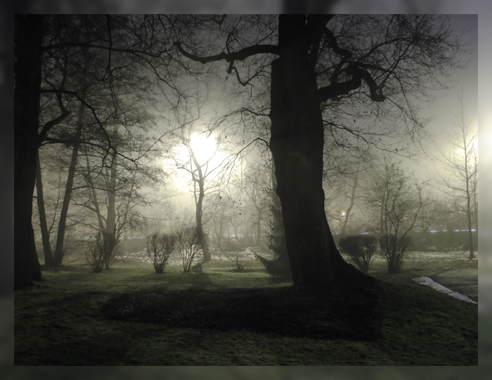 фото "Wintergarten" метки: пейзаж, зима, ночь