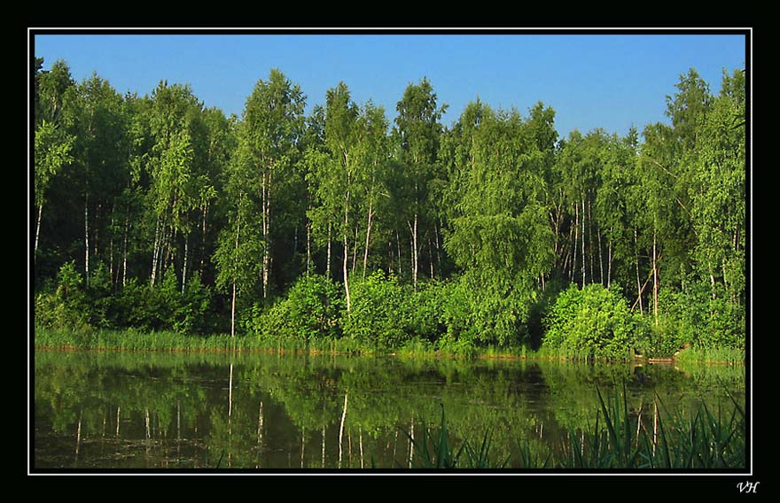 photo "Morning silence" tags: landscape, forest, water