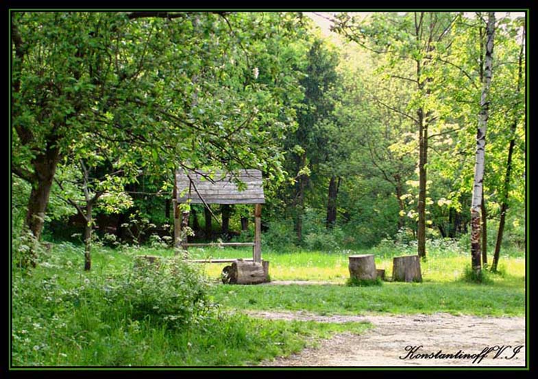 фото "Поляна" метки: природа, 