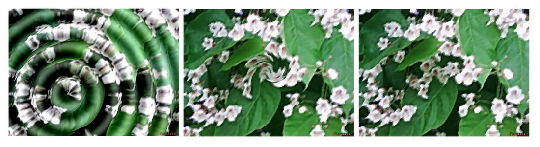 фото "Spirit of flowers" метки: природа, абстракция, цветы