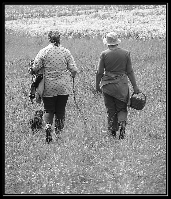 photo "On mushrooms yes berries" tags: genre, black&white, 