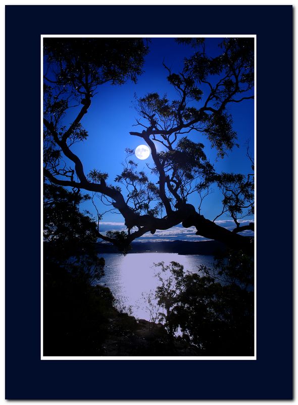фото "Moon." метки: пейзаж, ночь