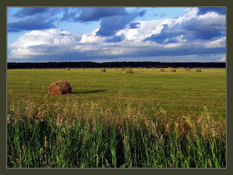 photo "***" tags: landscape, summer