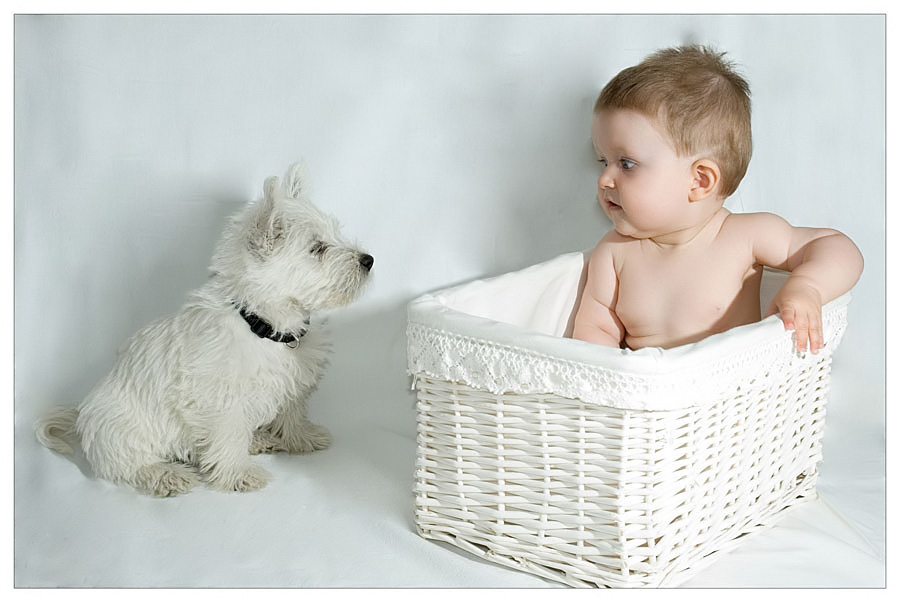 photo "It is my basket!" tags: portrait, nature, children, pets/farm animals