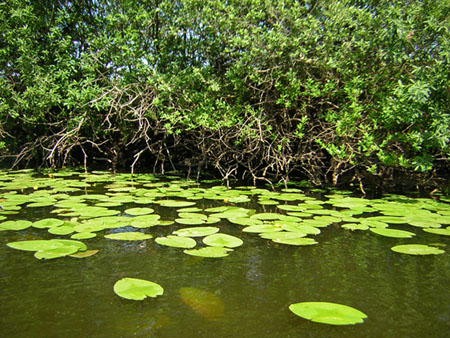 photo "***" tags: landscape, water