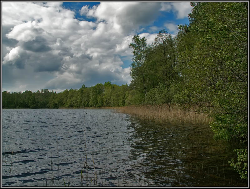 фото "Заповедное озеро" метки: пейзаж, вода