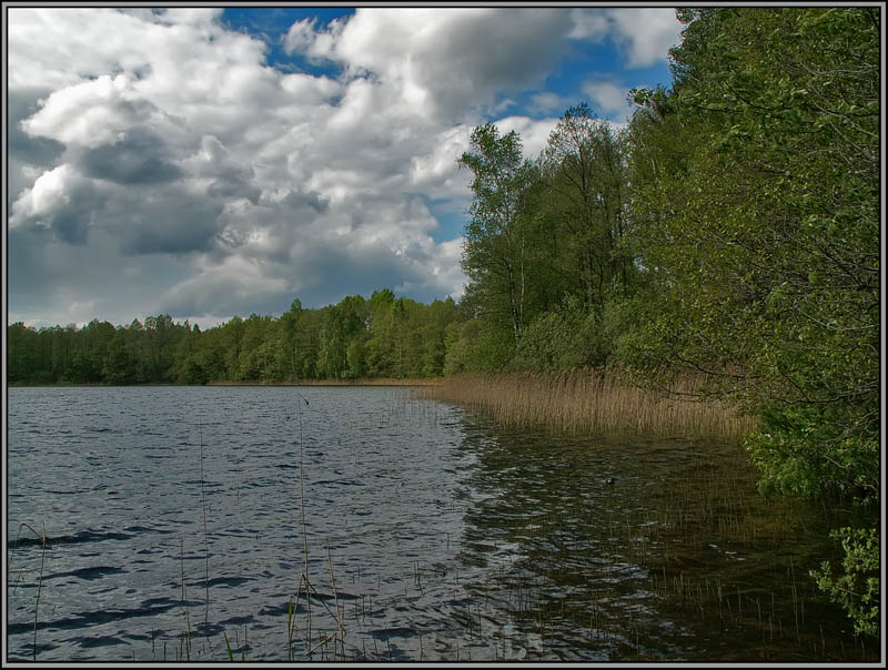 photo "Reserved lake..." tags: landscape, water