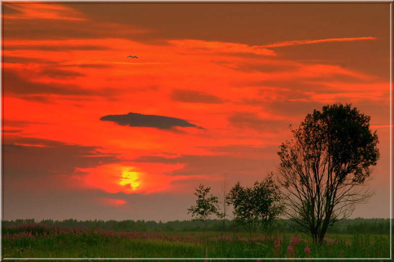 photo "The end... Day" tags: landscape, summer, sunset