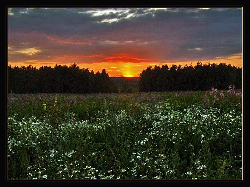 фото "Лето, поле, закат..." метки: пейзаж, закат, лето