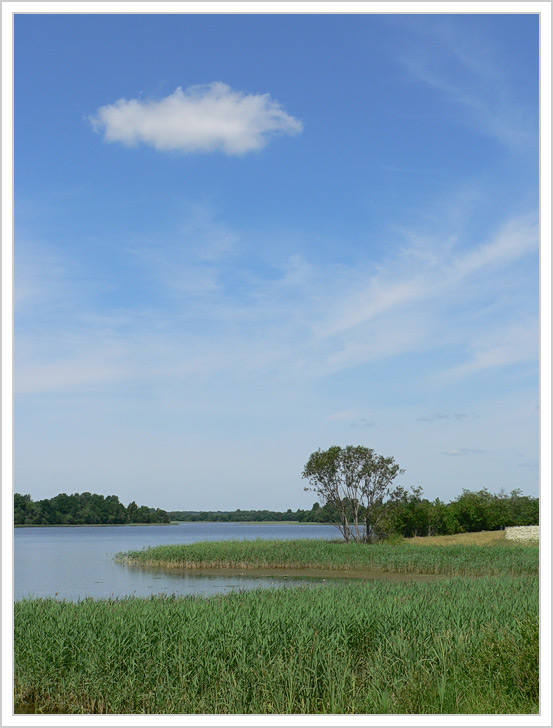 photo "***" tags: landscape, clouds, water