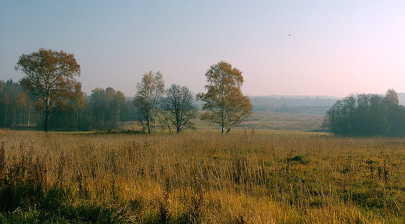 фото "Осенняя." метки: пейзаж, осень