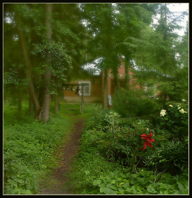 photo "***" tags: landscape, summer