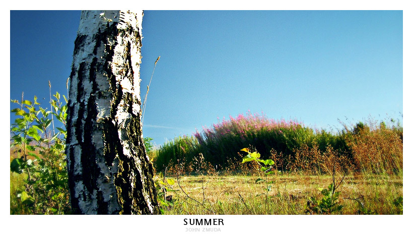 photo "Summer" tags: landscape, travel, summer