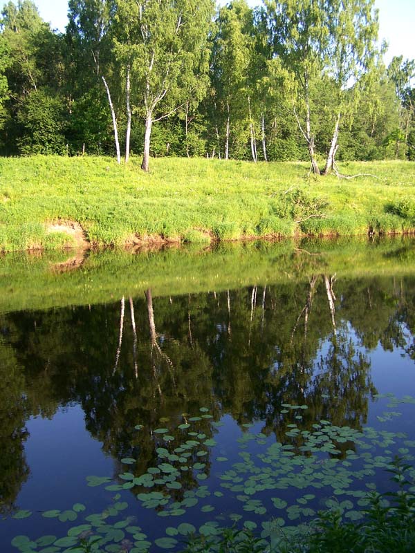 фото "В тихом омуте - 2" метки: пейзаж, вода