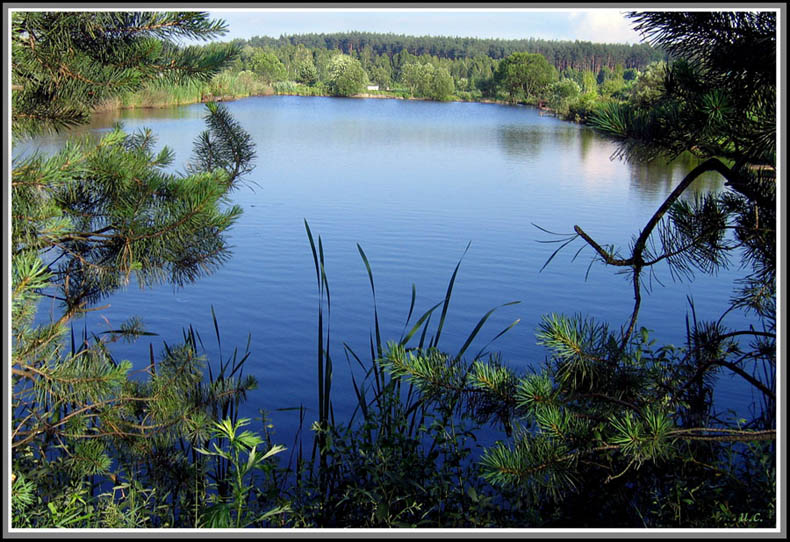 фото "Просто озеро на даче" метки: пейзаж, вода, лето