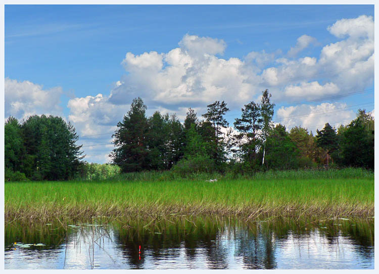 photo "***" tags: landscape, clouds, forest