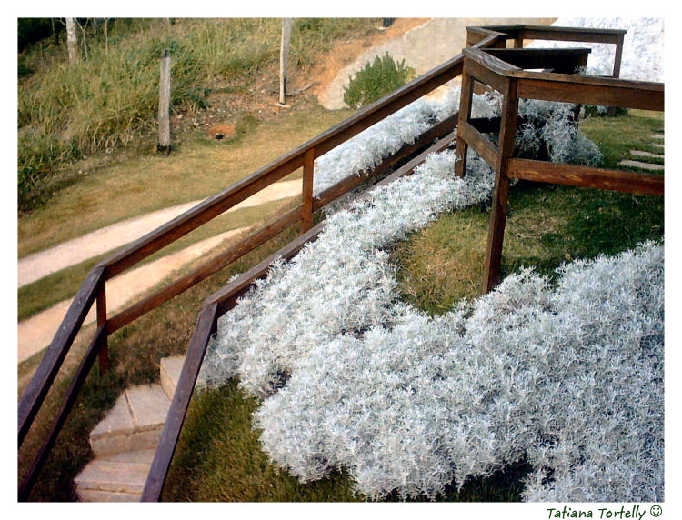 photo "Beautiful Balcony" tags: misc., 