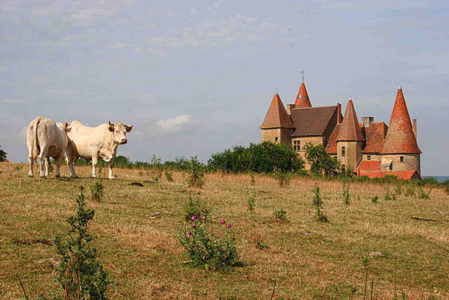 photo "***" tags: architecture, nature, landscape, pets/farm animals