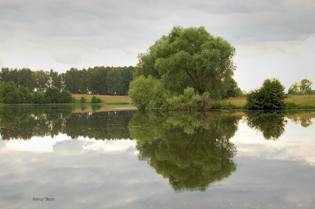 photo "***" tags: landscape, summer, water