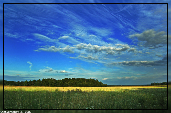 фото "Поле, русское поле." метки: пейзаж, лето, облака