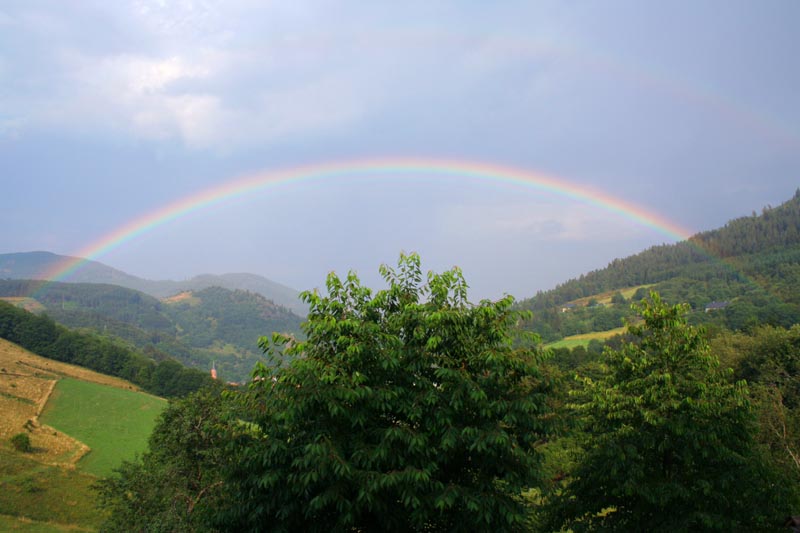 photo "rainbow" tags: landscape, 