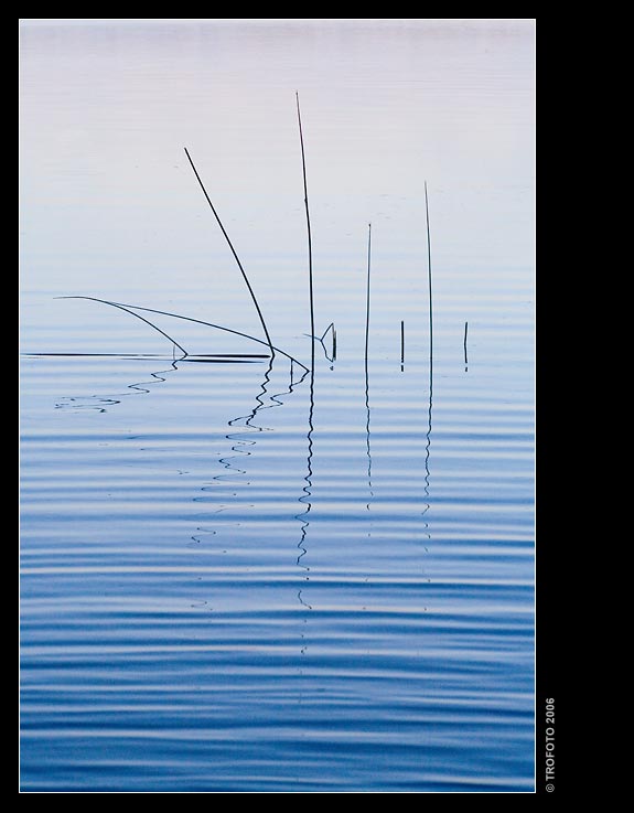 photo "Morning" tags: landscape, water