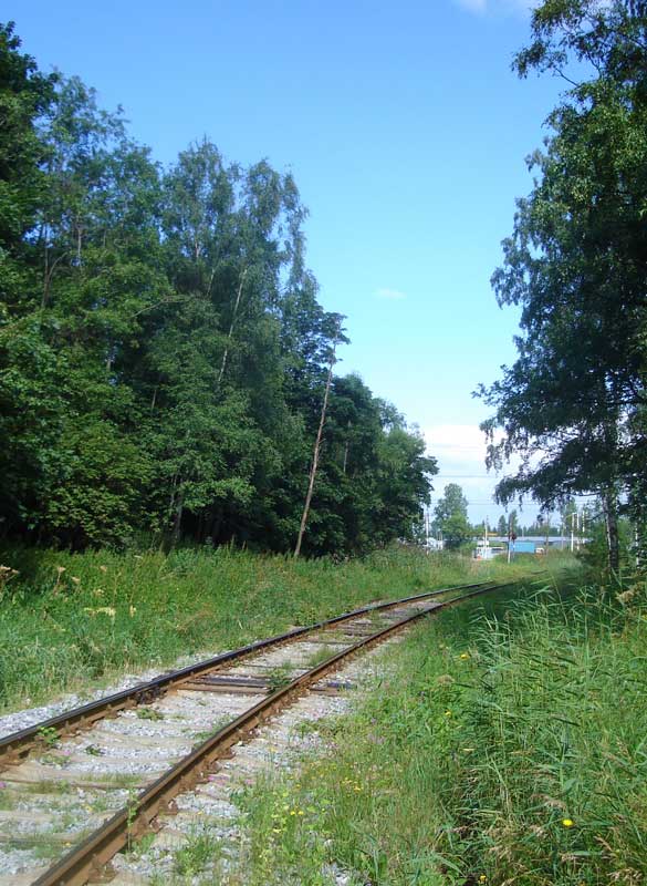 photo "***" tags: landscape, summer
