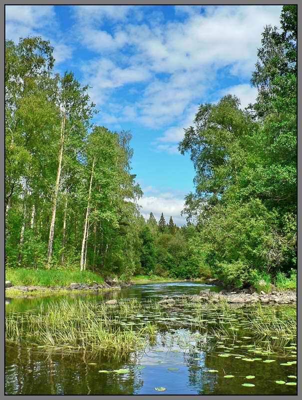 photo "***" tags: landscape, clouds, forest