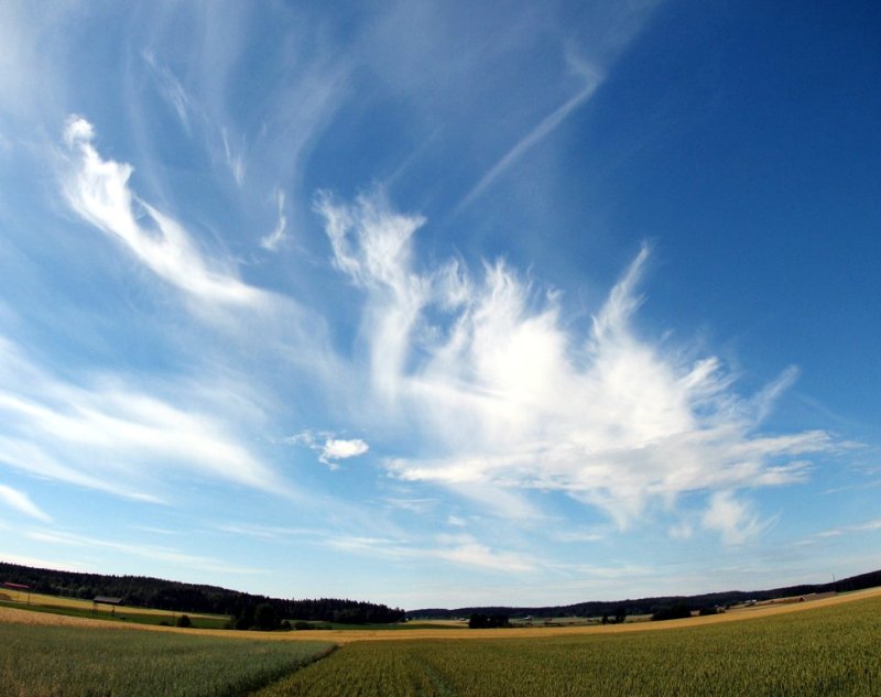 photo "High is the sky" tags: landscape, clouds, summer