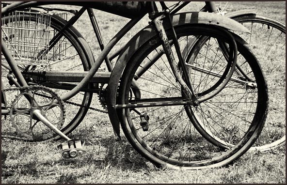 фото "Ol Time Bicycles for sale : July 2006" метки: разное, юмор, 