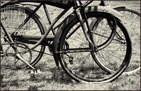 photo "Ol Time Bicycles for sale : July 2006" tags: misc., humor, 