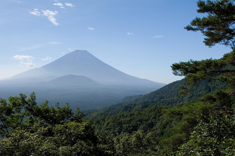photo "Sea of Pines" tags: landscape, travel, Asia, mountains