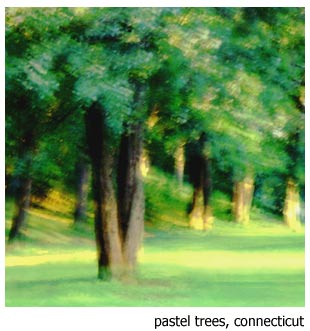 photo "Impression of trees" tags: nature, abstract, 