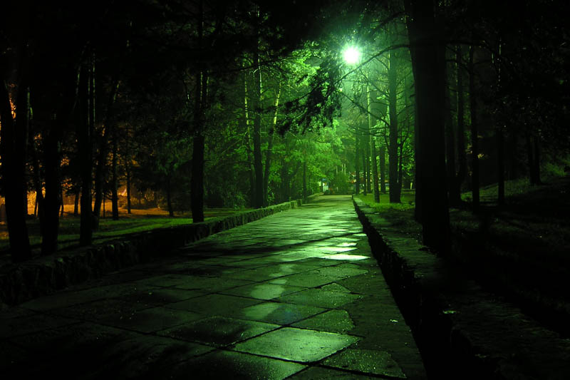 фото "Ночная дорога" метки: разное, 