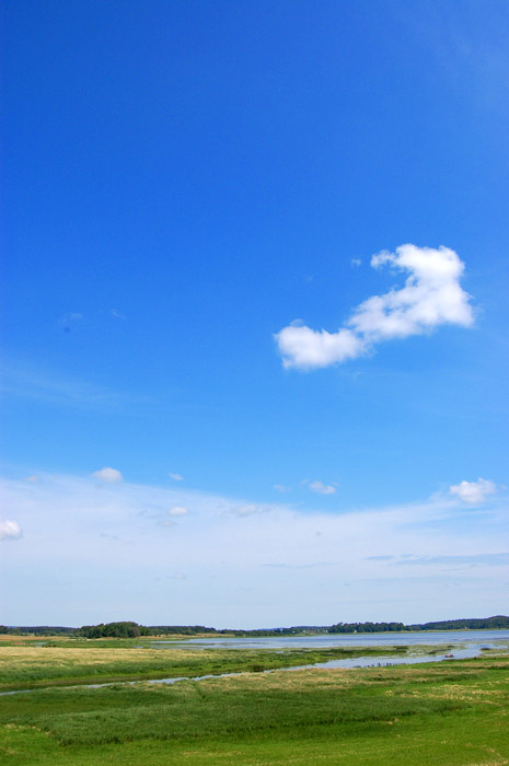 photo "***" tags: landscape, nature, 