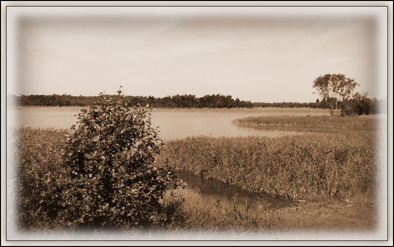 photo "***" tags: landscape, water