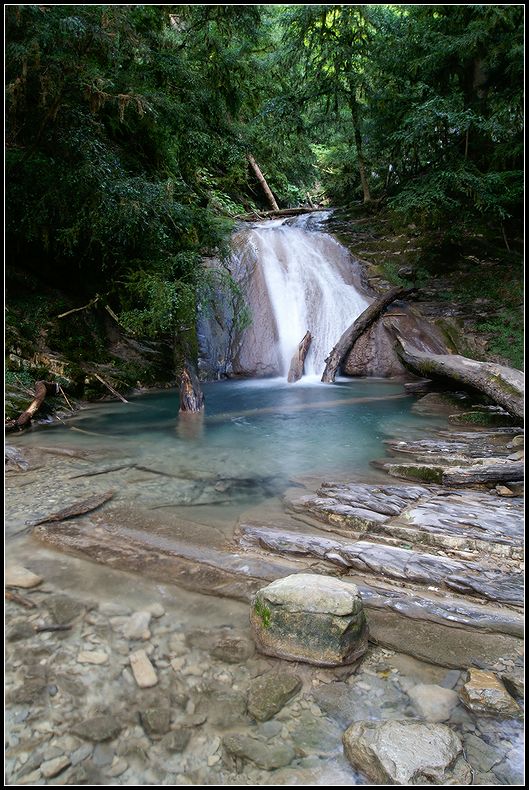 photo "***" tags: landscape, forest, water