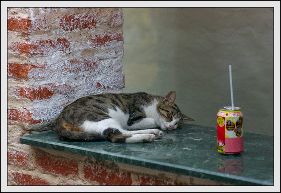 photo "Sleeping cat" tags: travel, Europe